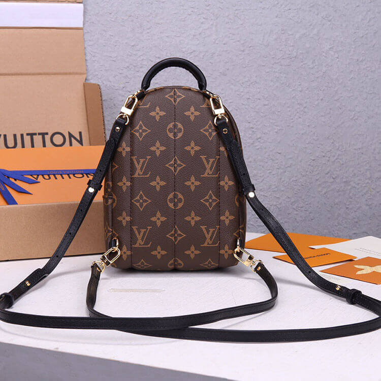 LV Palm Springs Mini Backpack - Image 3