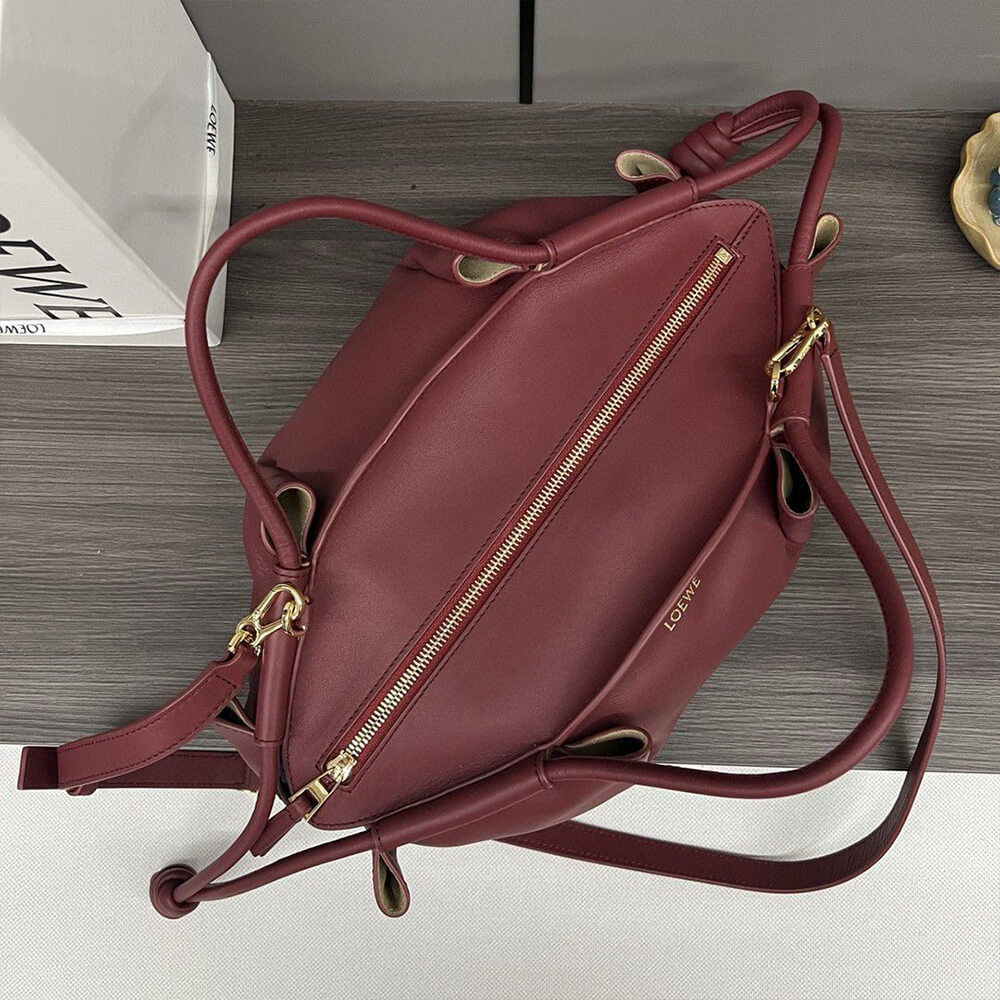 Burgundy Loewe Small Paseo bag in shiny nappa calfskin (high-end grade) - Image 6