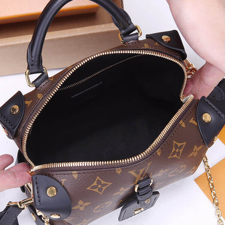LV Petite Malle Souple Handbag - Image 6