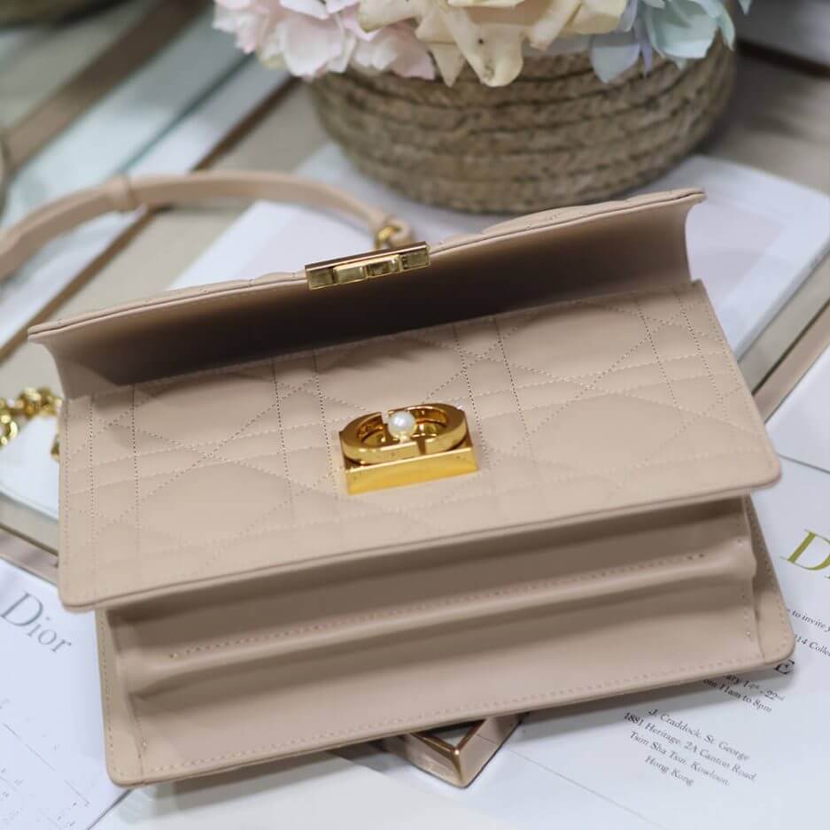 Medium Dior Ange Bag - Image 7